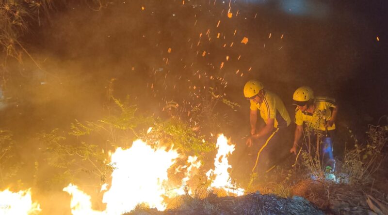 उत्तरकाशी: SDRF उत्तराखंड की टीम ने जंगल की आग पर पाया काबू
