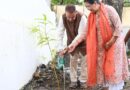 हरेला पर्व पर कृषि मंत्री गणेश जोशी ने किया फलदार पौधों का रोपण, दिया पर्यावरण संरक्षण का संदेश