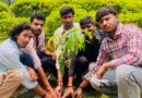 हरेला पर्व पर हरियाली का संदेश, गांधी पार्क में हुआ पौधारोपण