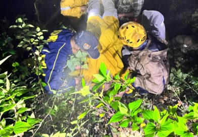 भवाली-रामगढ़ मार्ग पर खाई में गिरी कार से दंपति का एसडीआरएफ ने किया सफल रेस्क्यू