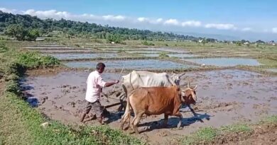 विलुप्त होती देहरादून बासमती की खुशबू फिर लौटेगी – जिलाधिकारी देहरादून
