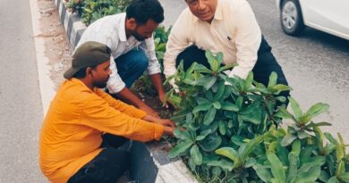 हरित दून का महाअभियान, एक लाख पौधों से एमडीडीए बदलेगा देहरादून की तस्वीर