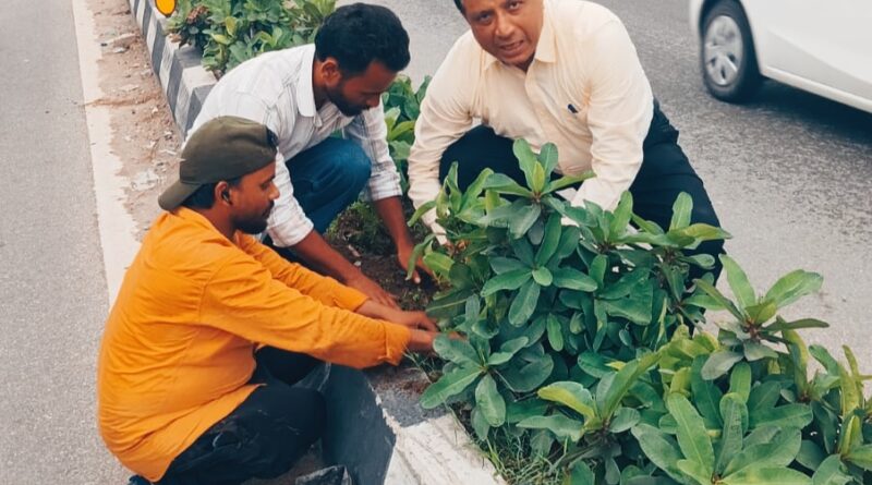 हरित दून का महाअभियान, एक लाख पौधों से एमडीडीए बदलेगा देहरादून की तस्वीर