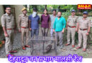 देहरादून वन प्रभाग के अंतर्गत इंडियन स्पॉटेड ईगल की अवैध खरीद-फरोख्त में अभियुक्त गिरफ्तार