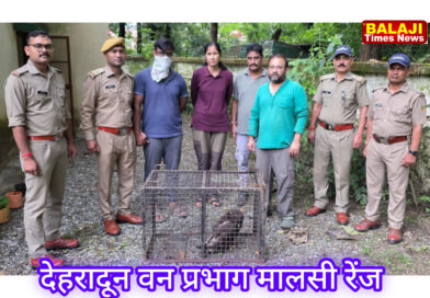 देहरादून वन प्रभाग के अंतर्गत इंडियन स्पॉटेड ईगल की अवैध खरीद-फरोख्त में अभियुक्त गिरफ्तार