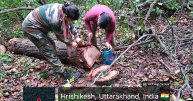 वन विभाग द्वारा साल वनों में कीट का प्रकोप रोकने के लिए किए जा रहे महत्वपूर्ण उपाय