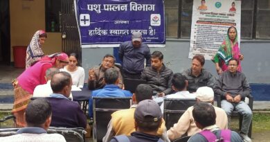 चारा उत्पादन से पशुपालन को मिलेगा बढ़ावा, 60 पशुपालक हुए लाभान्वित
