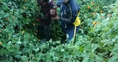 SDRF का त्वरित रेस्क्यू ऑपरेशन, खाई में गिरे घायल व्यक्ति को निकाला* सुरक्षित
